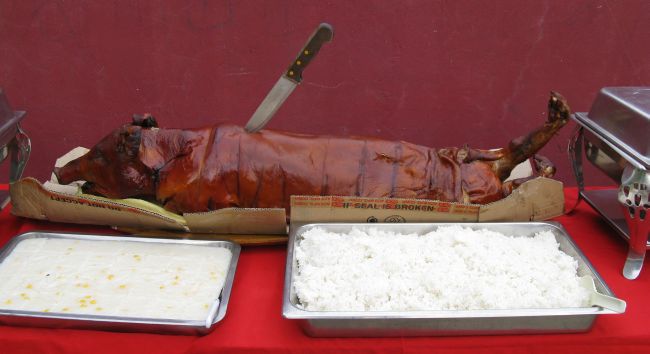 Medium – Estimated No. of People: 35-45 - Philippines lechon roasted pig